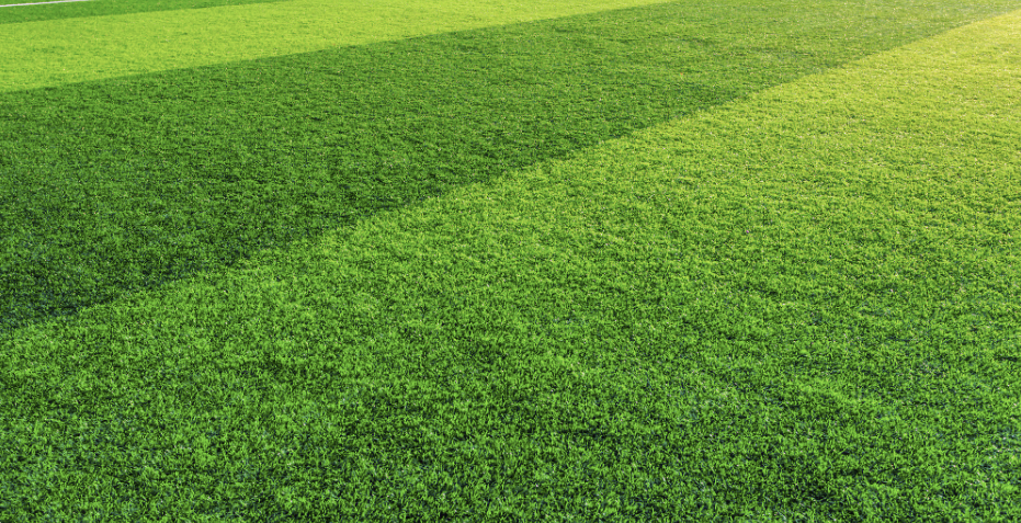 Artificial Turf Project 3