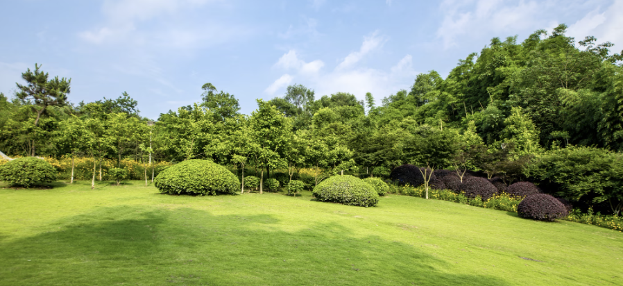 Landscaping Project 2