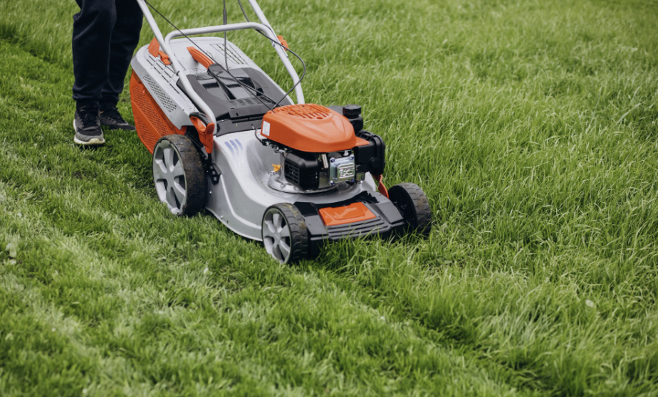 Landscaping Project 3